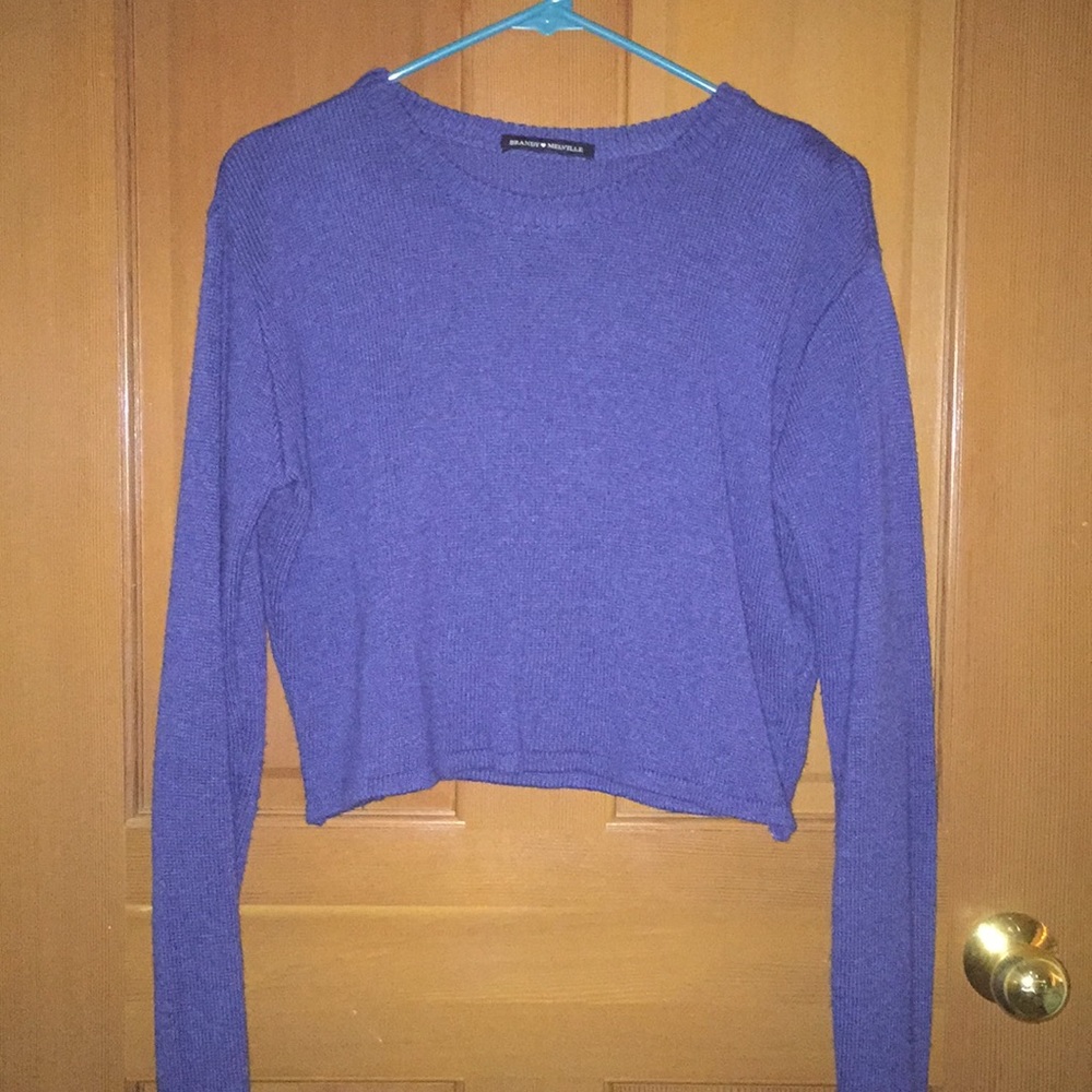 brandy melville cropped francesca sweater